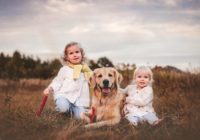 Fotograf-KingaWnukHlad-fotografczestochowa-sesjarodzinna-dzieci (17)