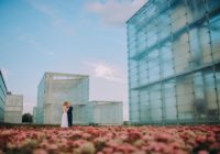 Kinga Wnuk-Hłąd Fotograf Częstochowa K&M (6)